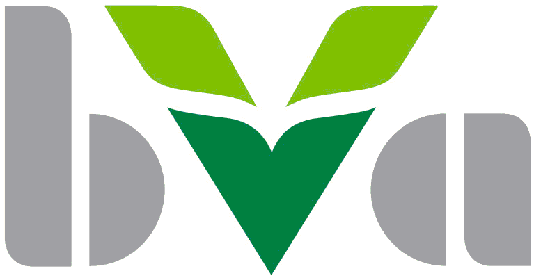 BVAEB
